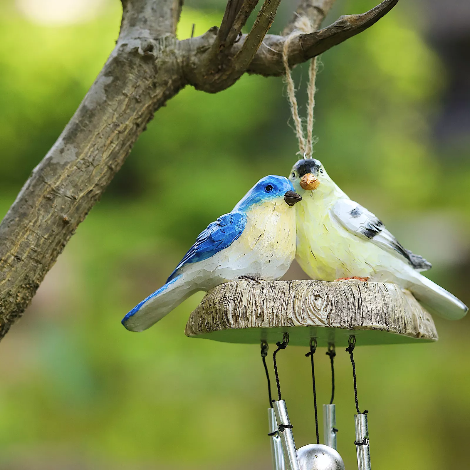 21244 5f1460.webp