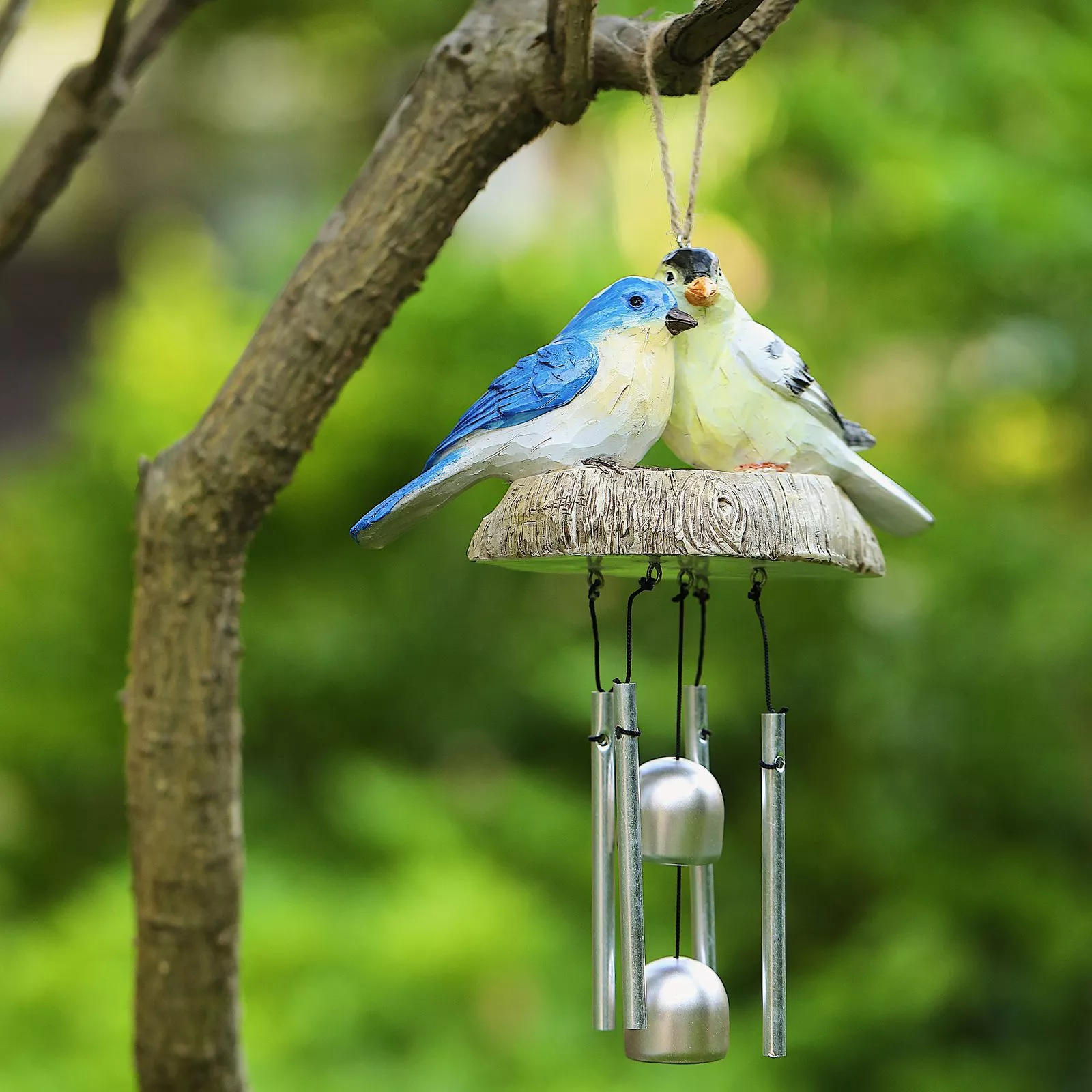 21244 e7c571.webp