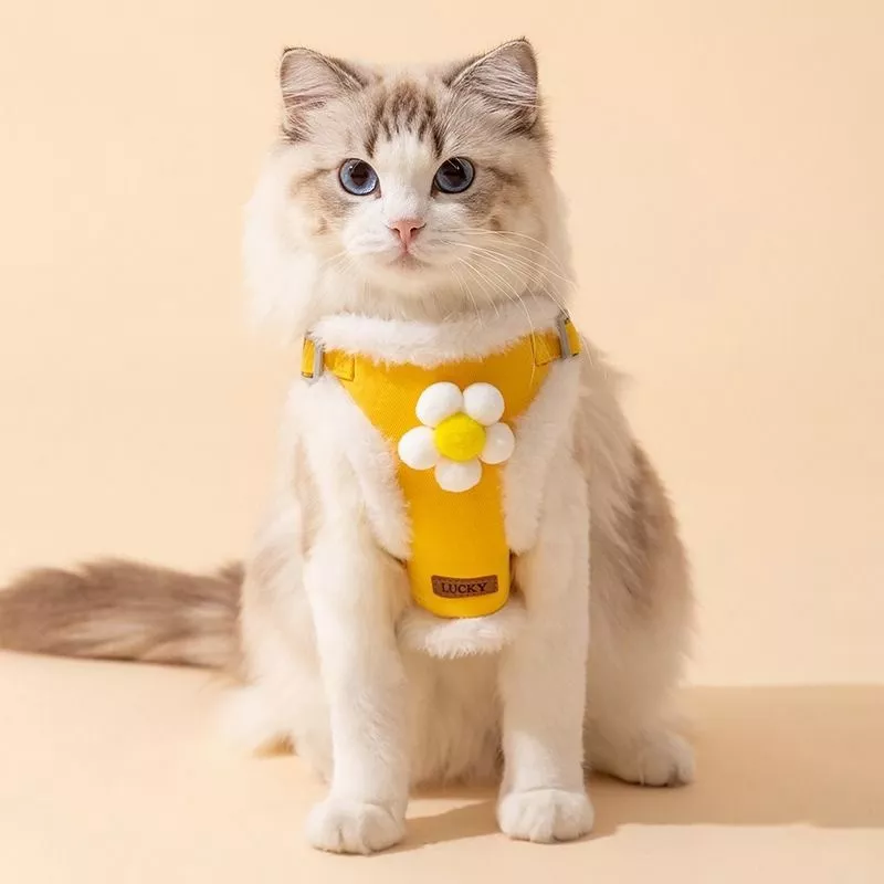 23091 71b540.webp